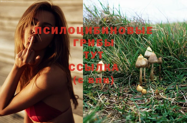 эйфоретик Михайлов