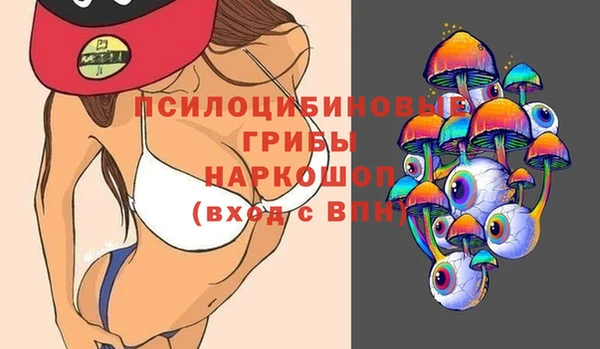 марки nbome Вяземский