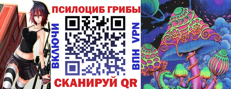 Псилоцибиновые грибы Cubensis  дарнет шоп  Дыгулыбгей 
